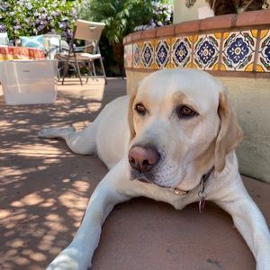 Meet your Posher, Isabelle